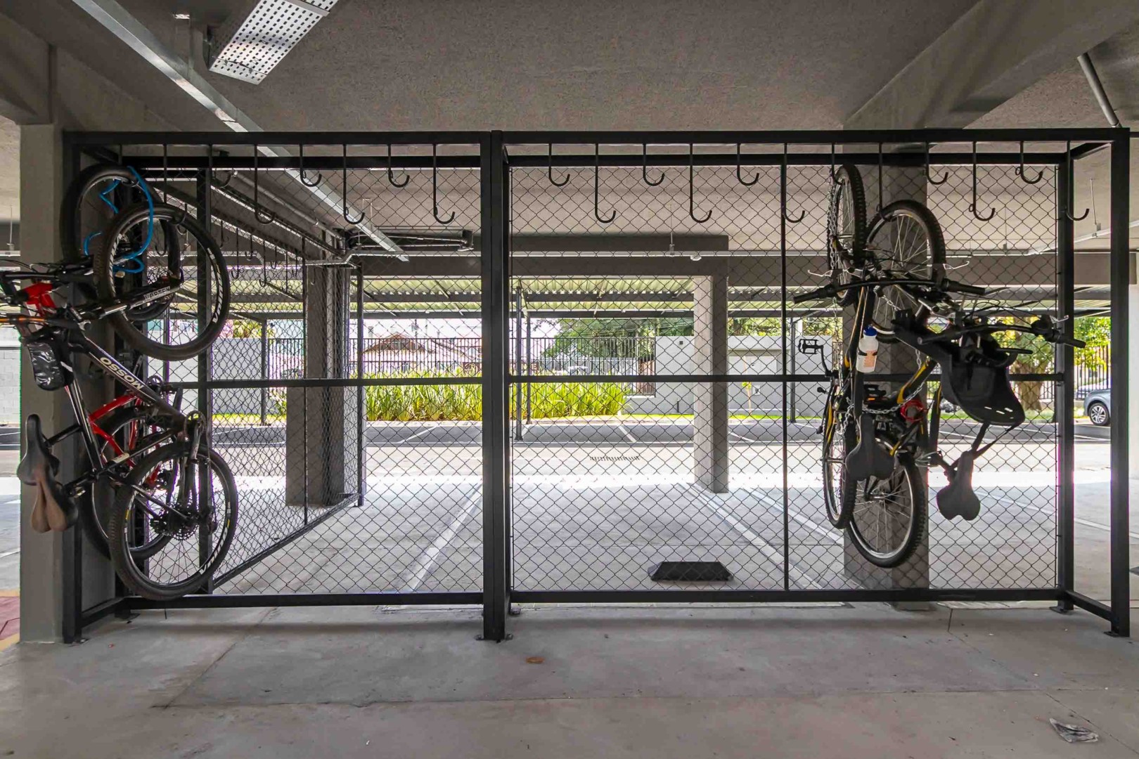 Sheep - IMG_1654.jpg