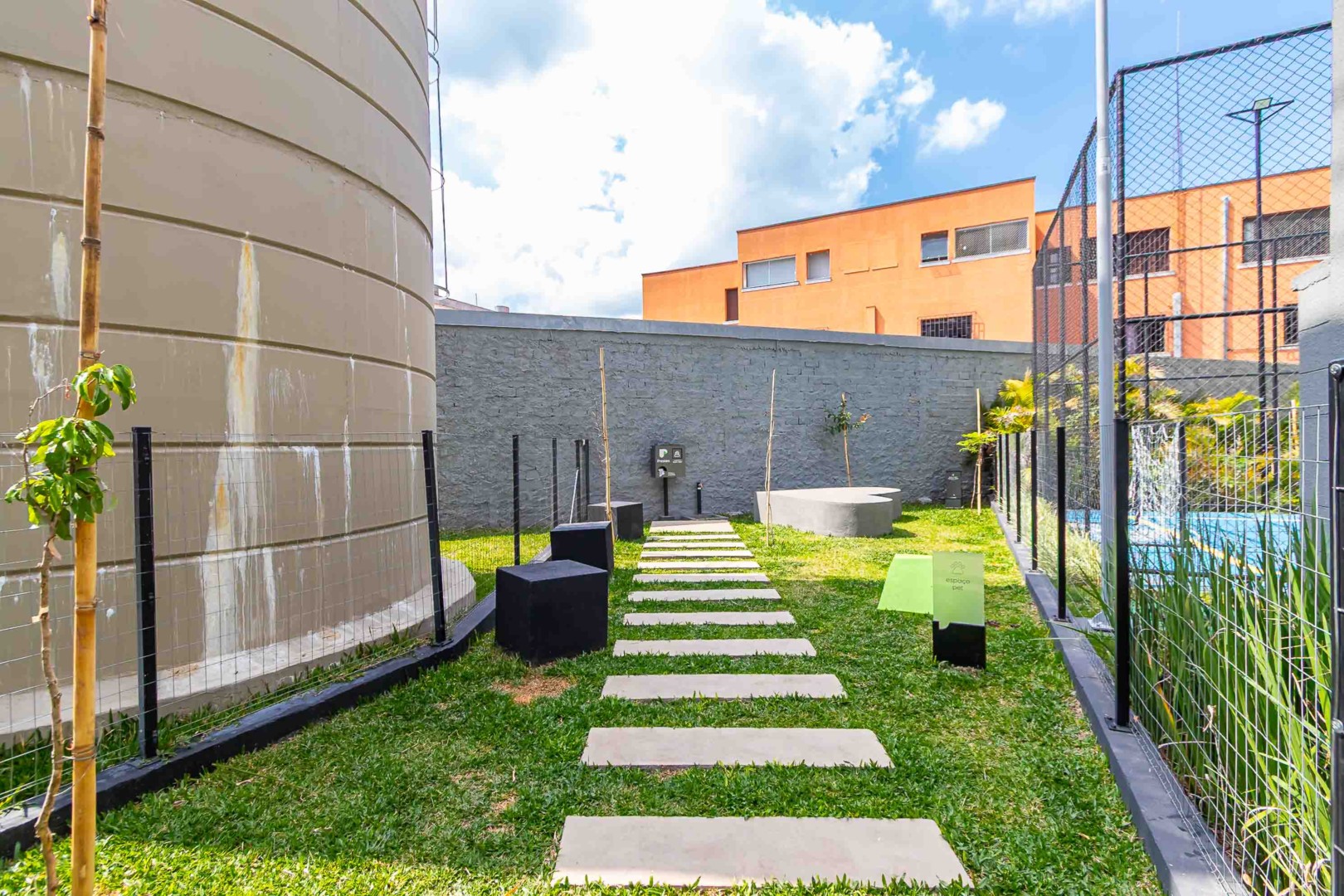 Sheep - IMG_1656.jpg