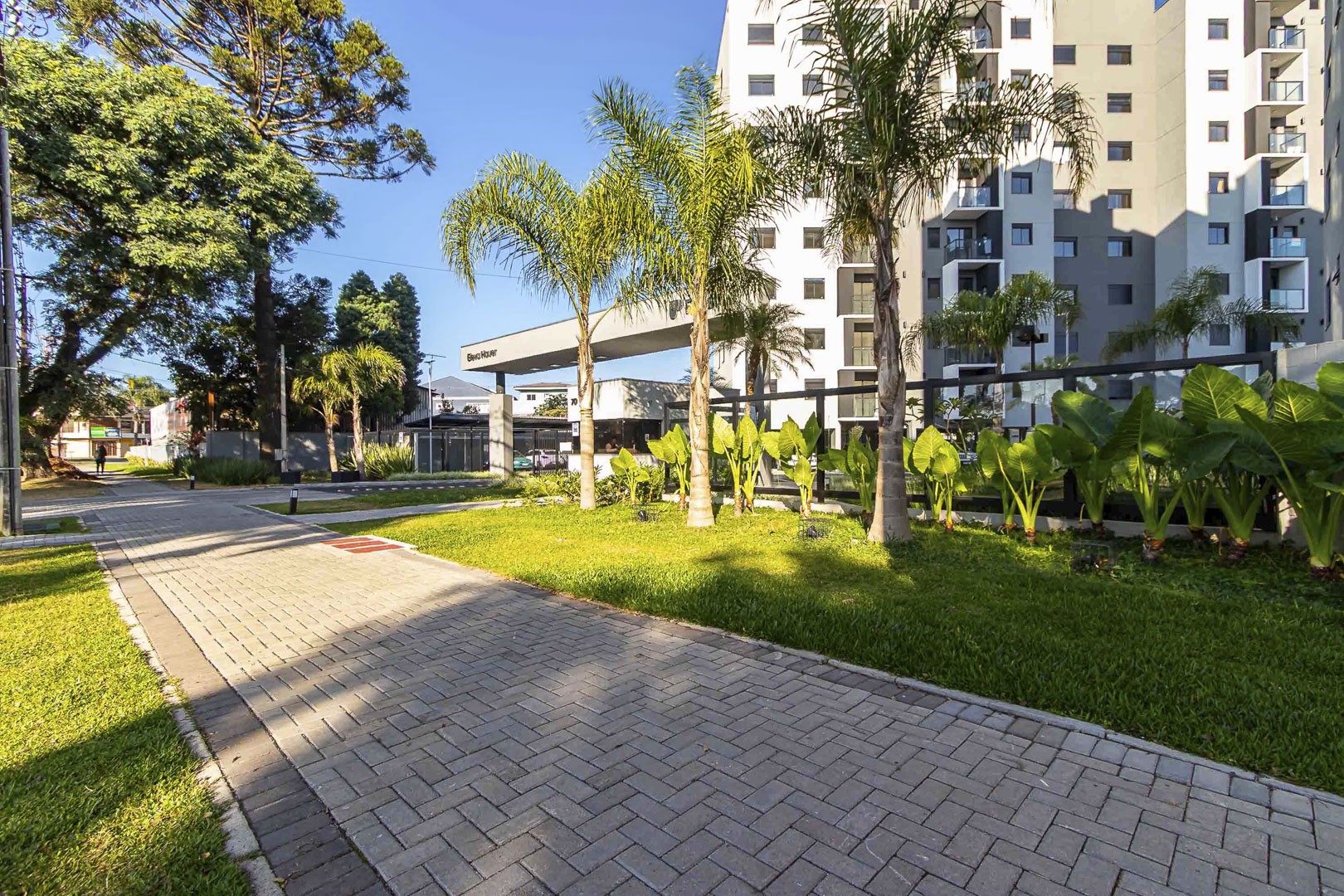 Sheep - IMG_2713_1.jpg