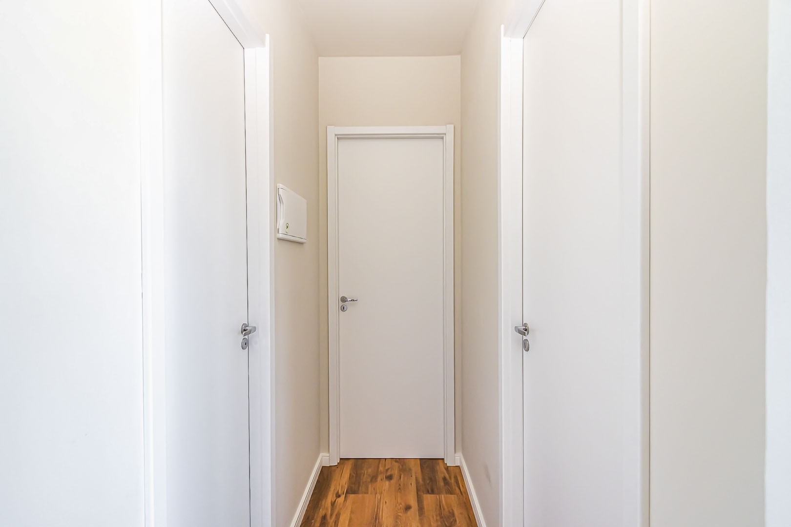 Sheep - IMG_2738_1.jpg