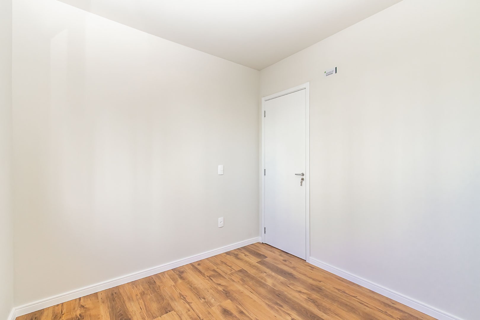 Sheep - IMG_2743_1.jpg