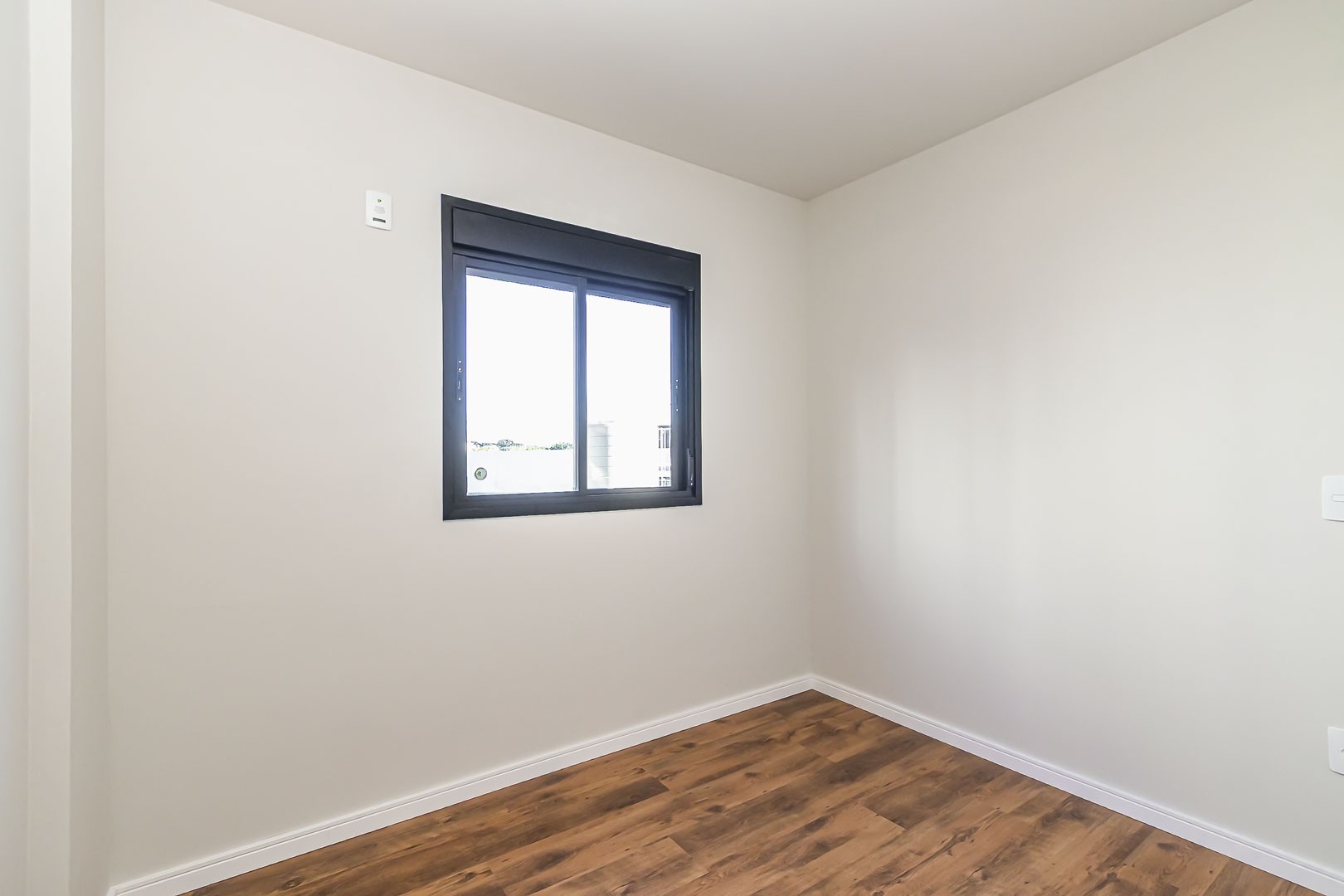 Sheep - IMG_2748_1.jpg