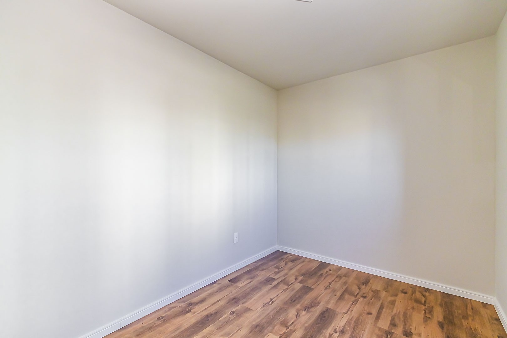 Sheep - IMG_2751_1.jpg