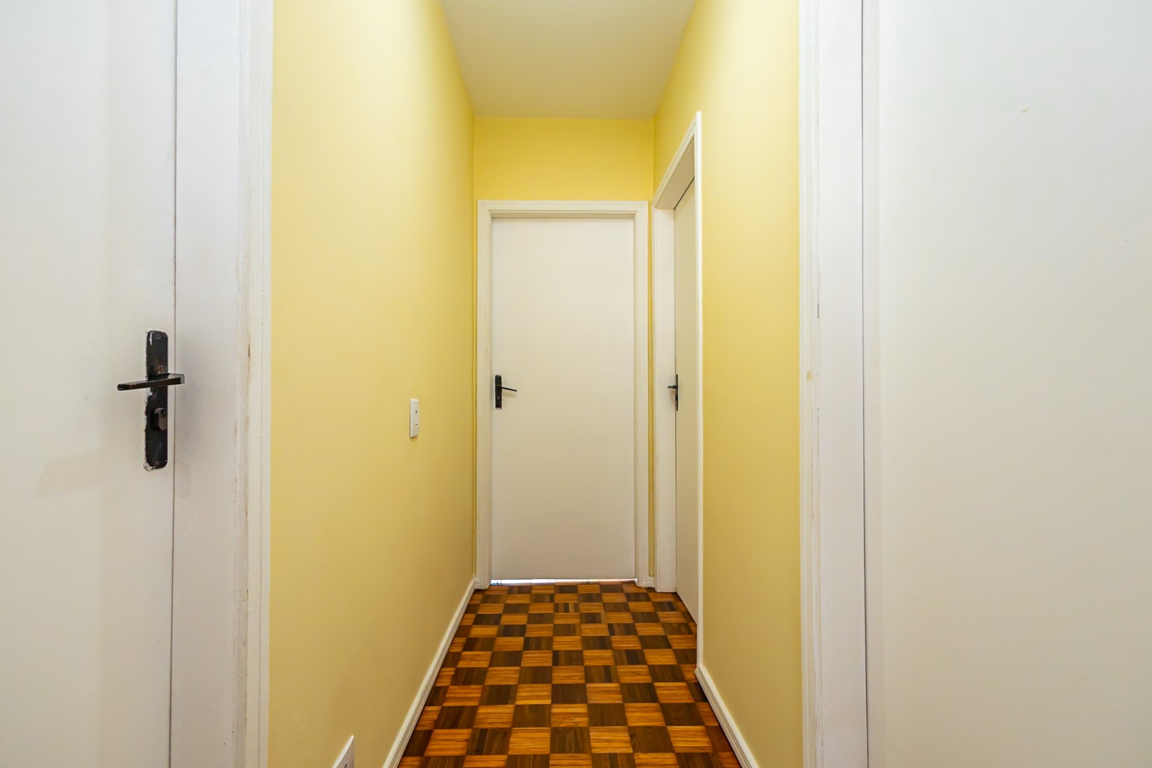 sheep - IMG_9835.jpg