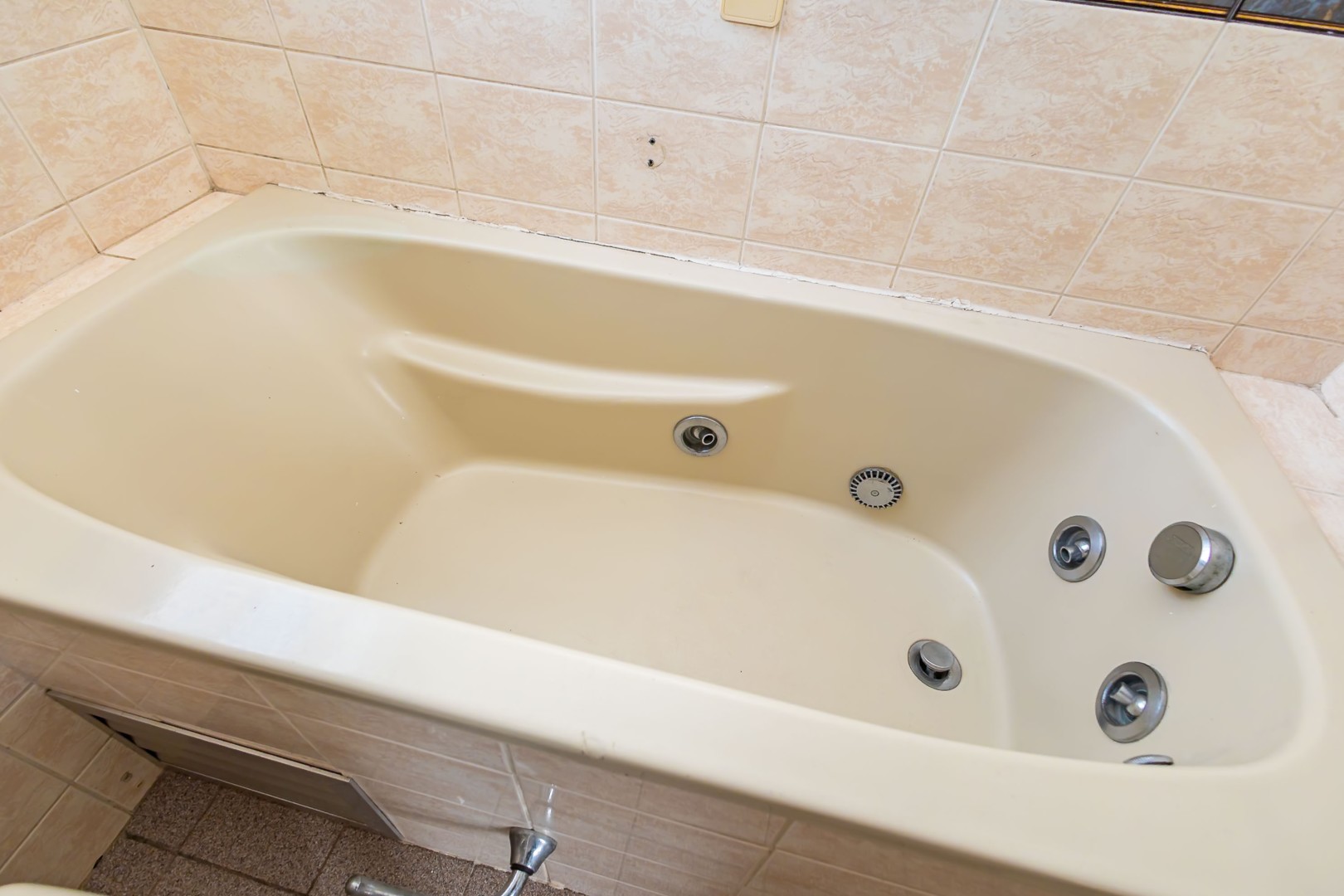 sheep - IMG_9848.jpg