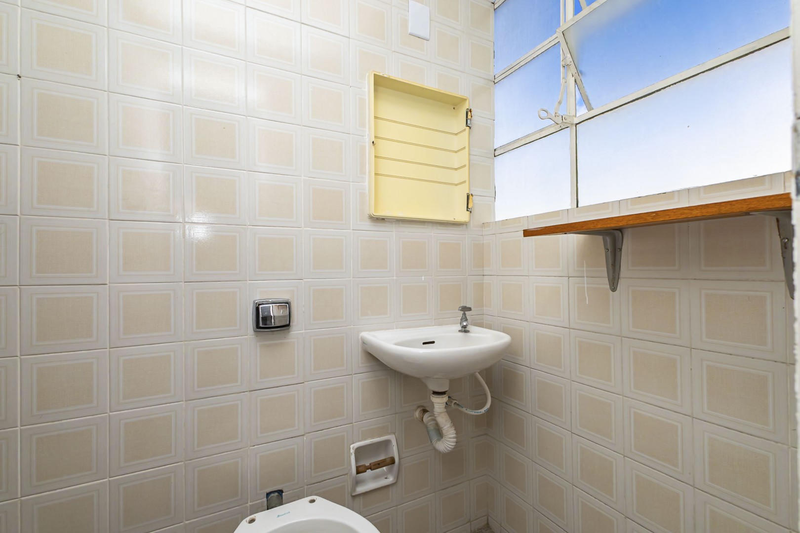 sheep - IMG_9834_1.jpg