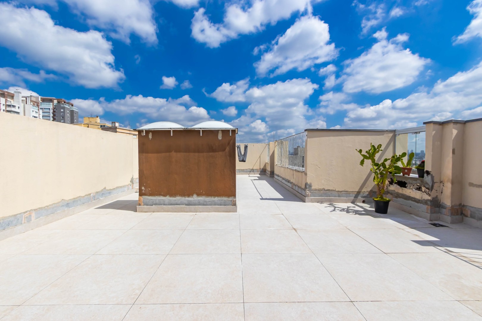 Sheep - IMG_6716.jpg