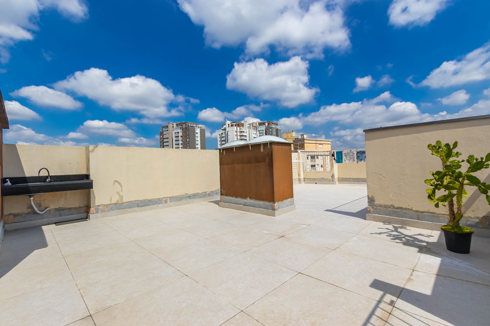 Sheep - IMG_6717.jpg