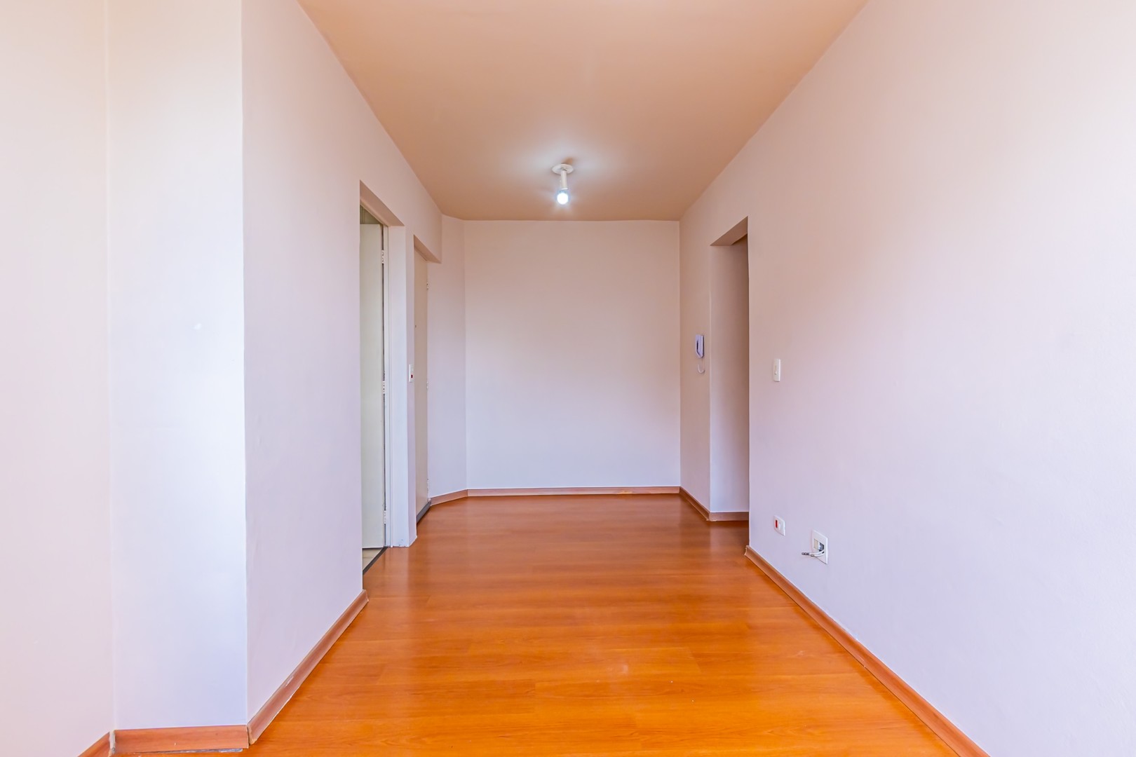 Sheep - IMG_6701.jpg