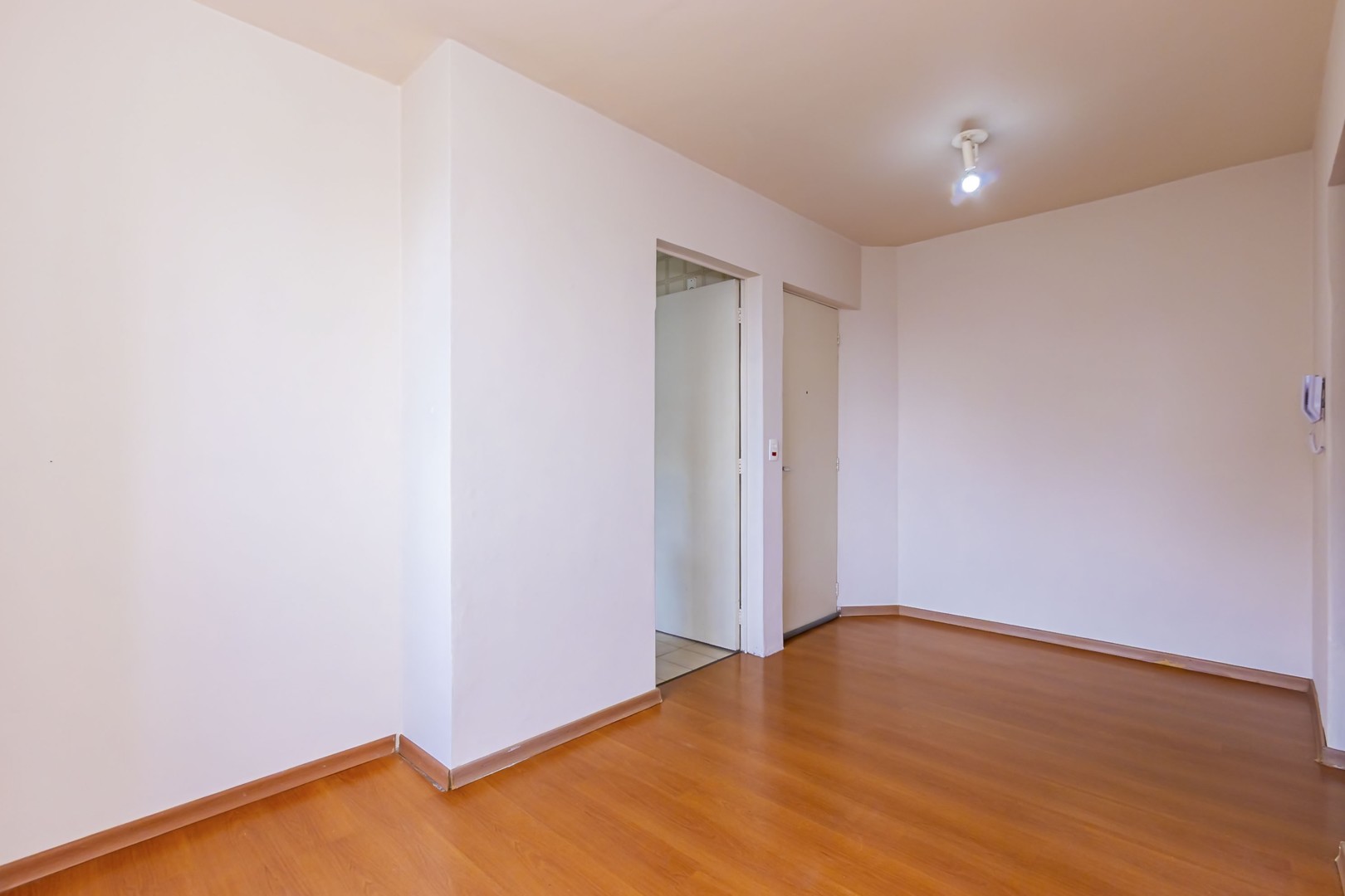 Sheep - IMG_6703_1.jpg