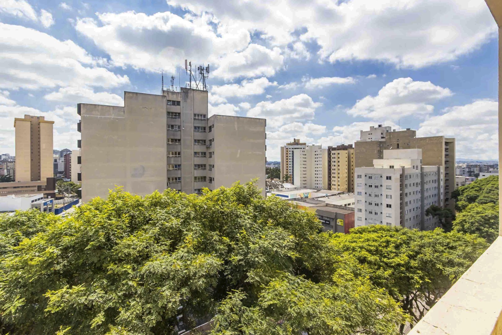 Sheep - IMG_6712_1.jpg