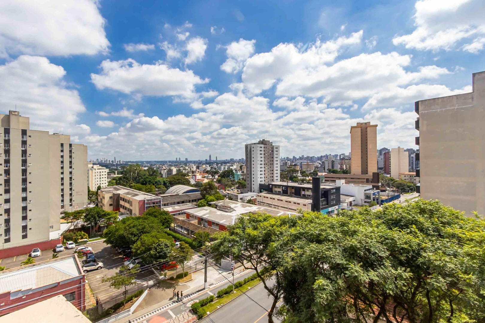 Sheep - IMG_6715.jpg