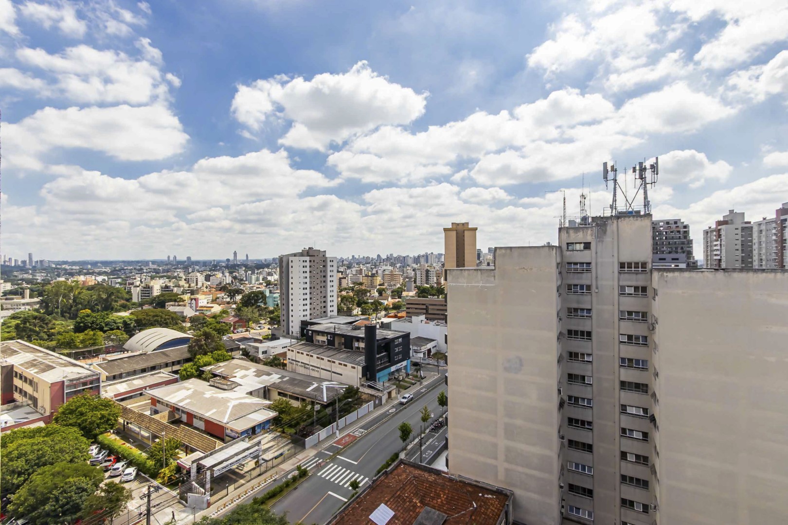 Sheep - IMG_6720_1.jpg