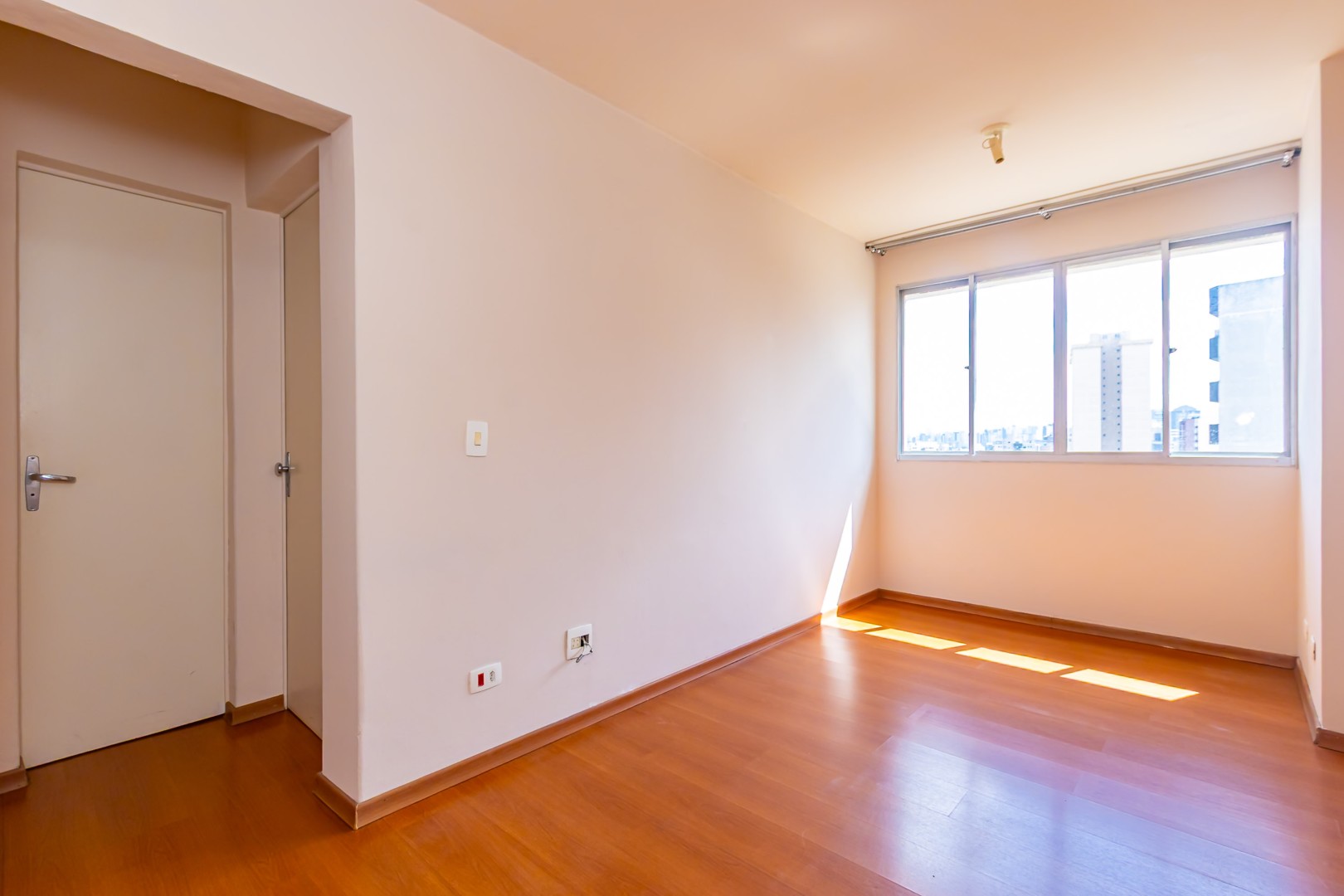 Sheep - IMG_6700.jpg