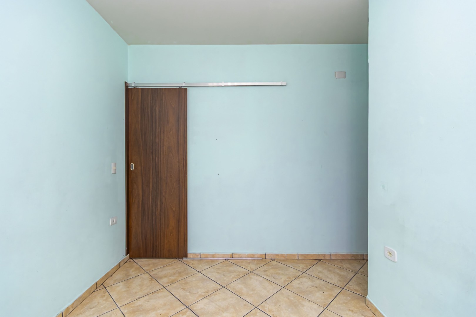 sheep - IMG_9295_1.jpg