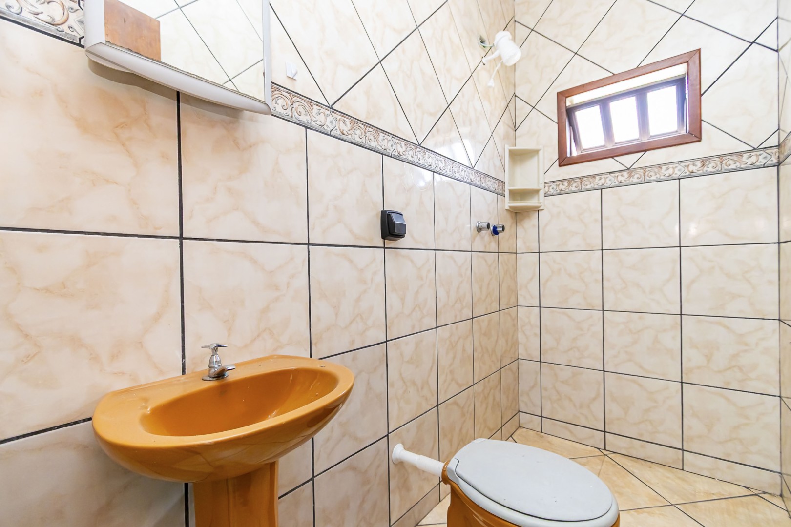 sheep - IMG_9297_1.jpg