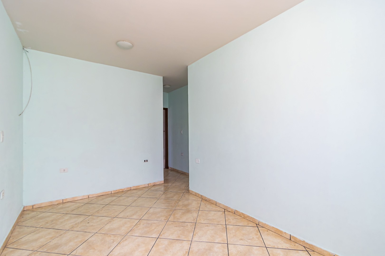 sheep - IMG_9298_1.jpg