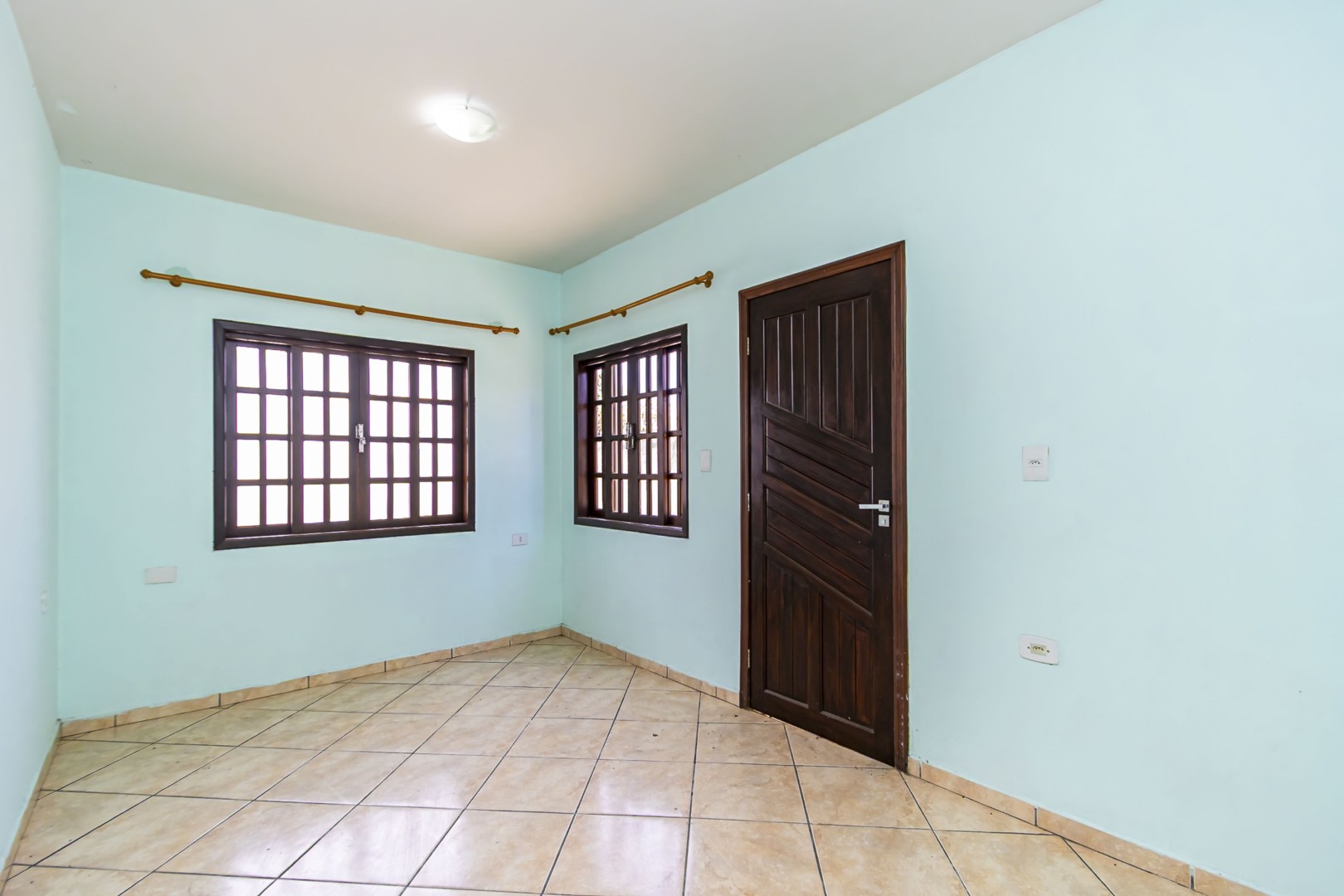 sheep - IMG_9300_1.jpg