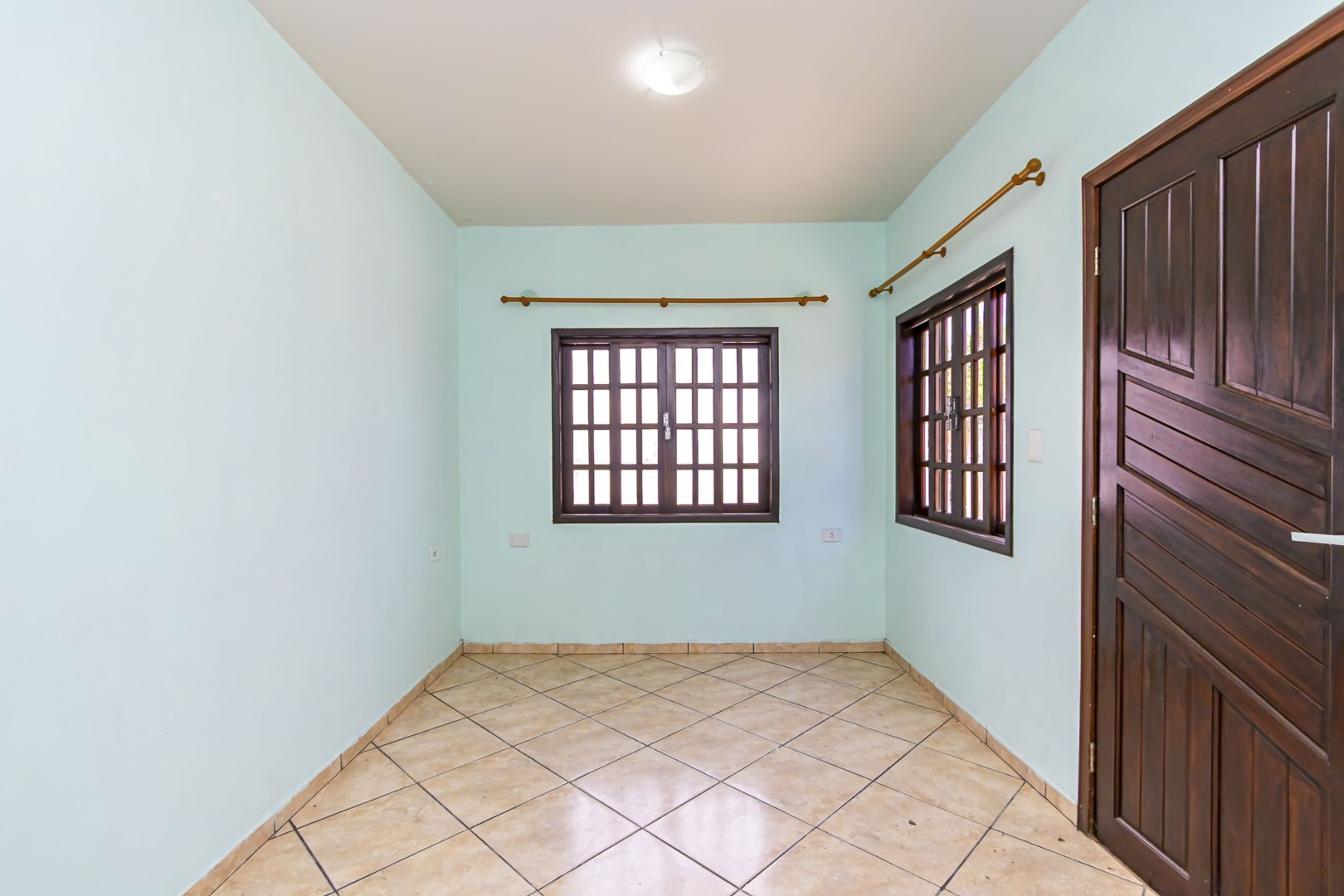 sheep - IMG_9301_1.jpg