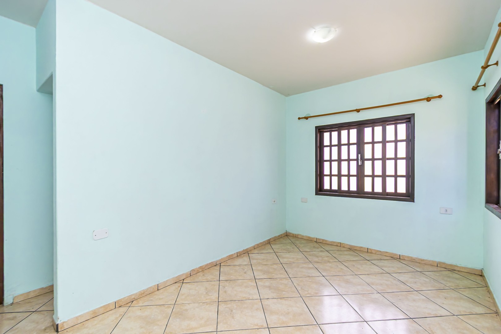 sheep - IMG_9302_1.jpg