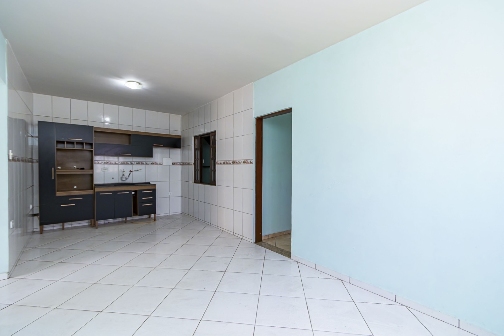 sheep - IMG_9304_1.jpg