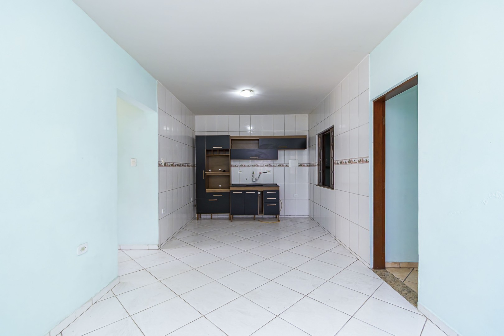 sheep - IMG_9305_1.jpg