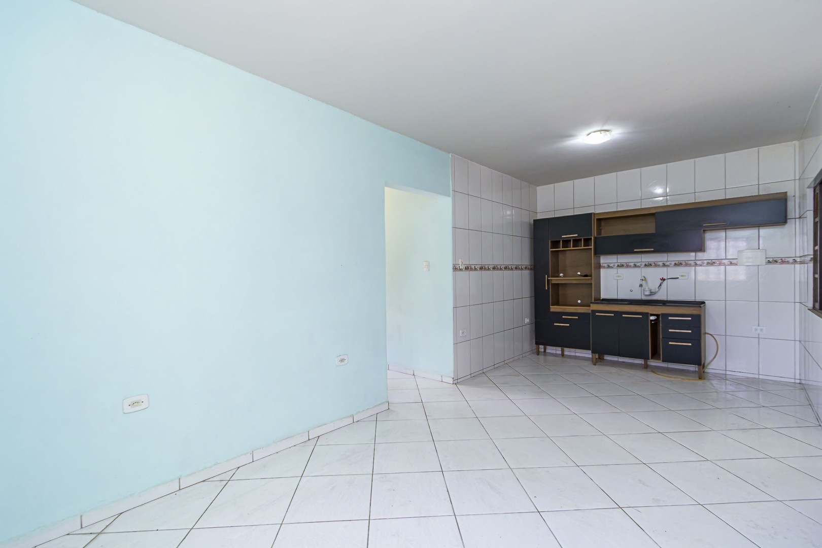 sheep - IMG_9306_1.jpg