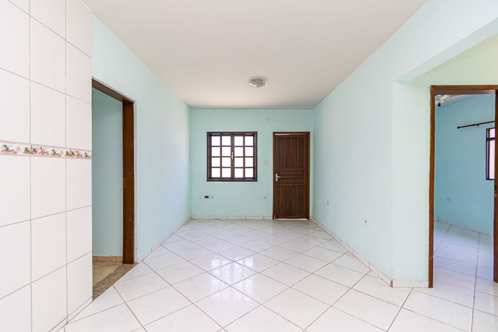 sheep - IMG_9308_1.jpg