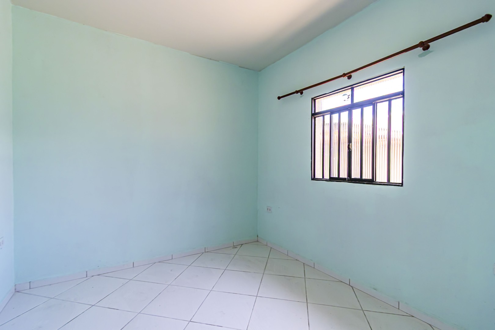 sheep - IMG_9309_1.jpg