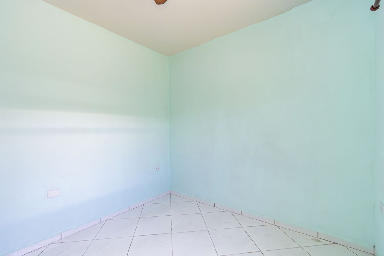 sheep - IMG_9311_1.jpg