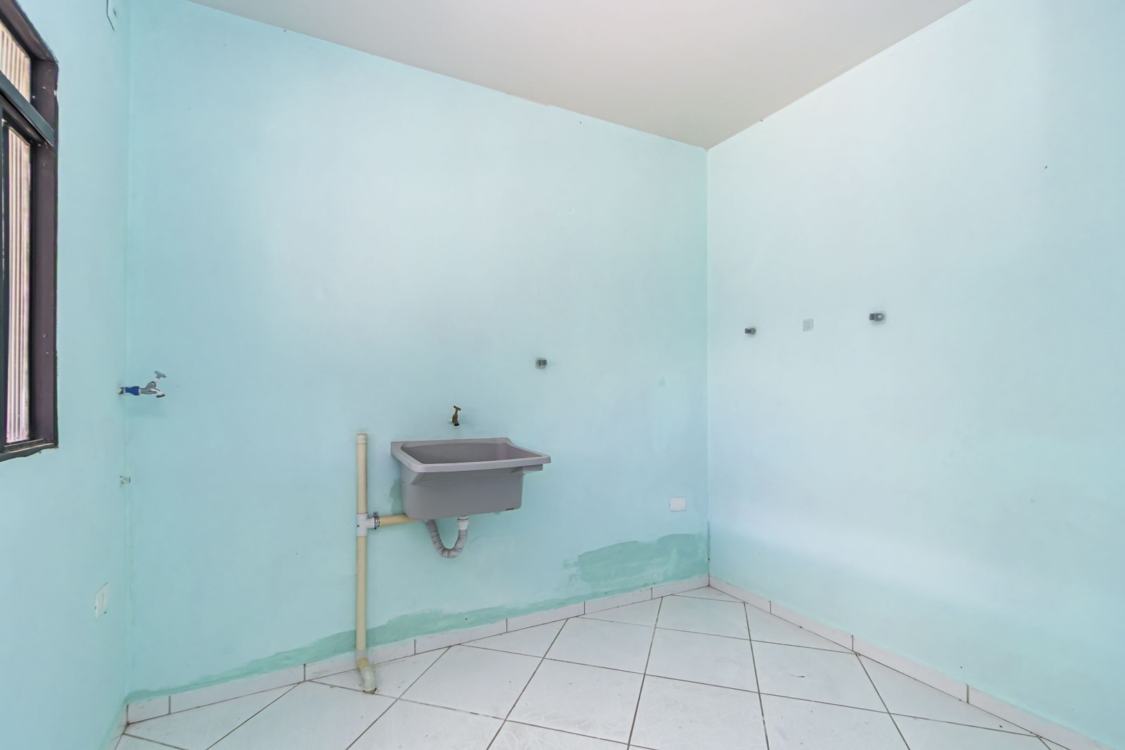 sheep - IMG_9315_1.jpg