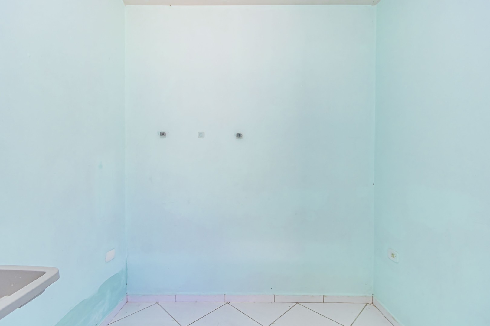 sheep - IMG_9316_1.jpg