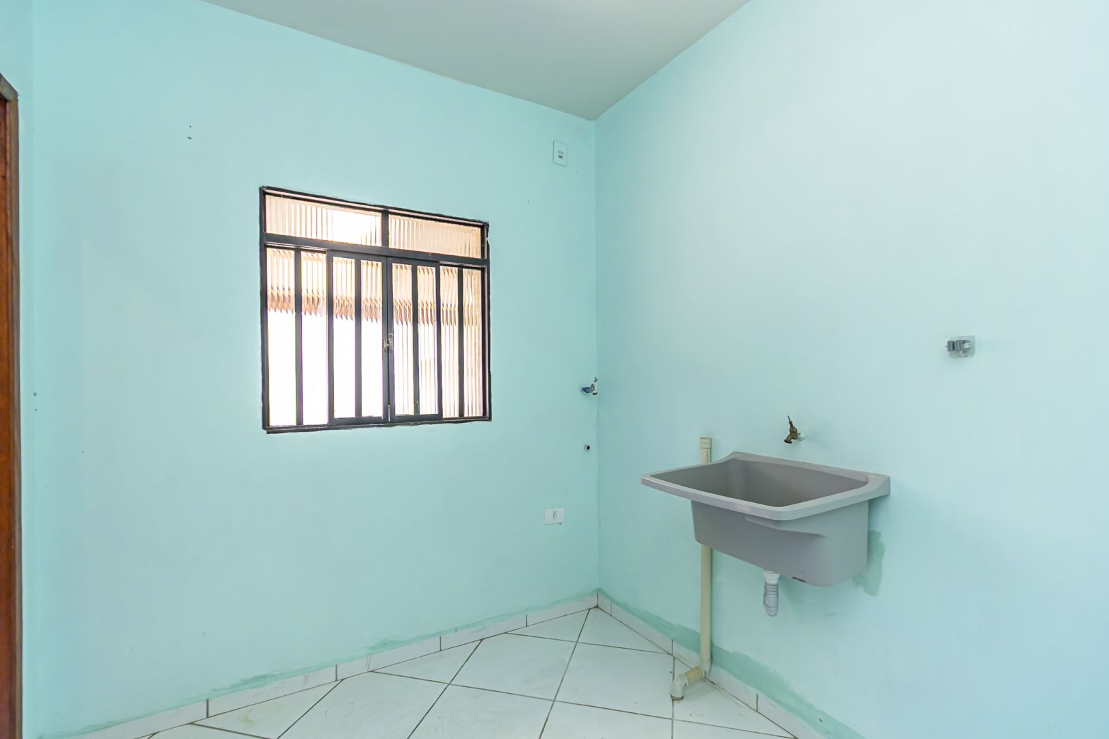 sheep - IMG_9317_1.jpg