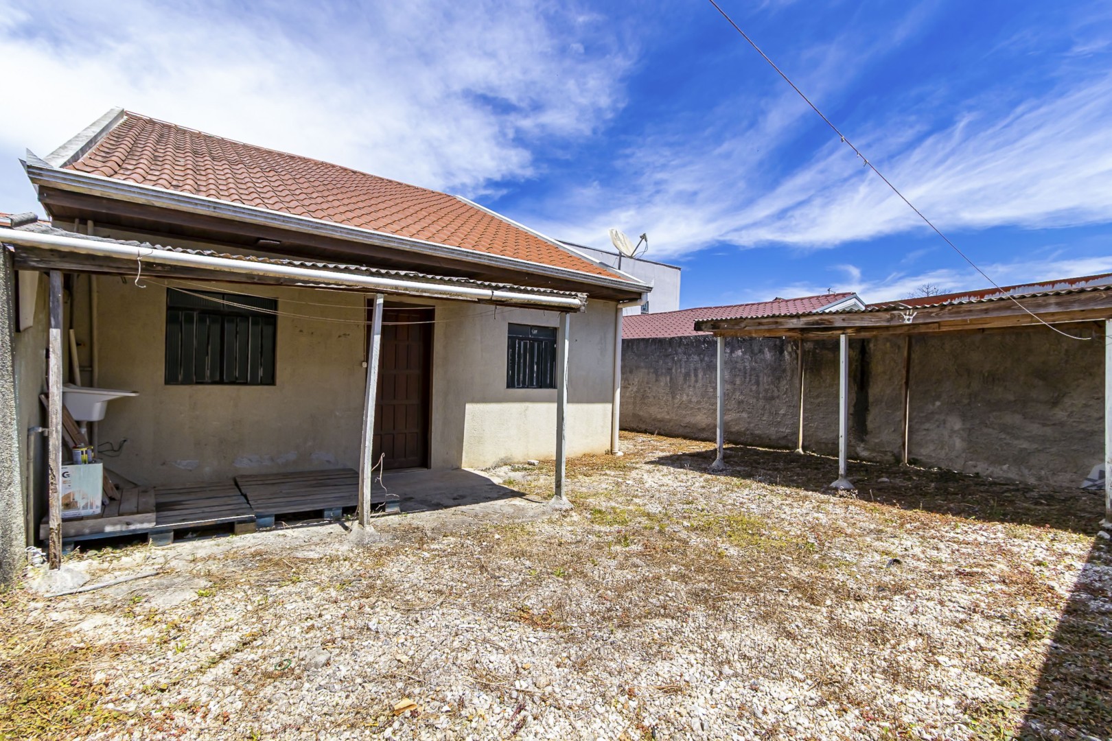 sheep - IMG_9319_1.jpg