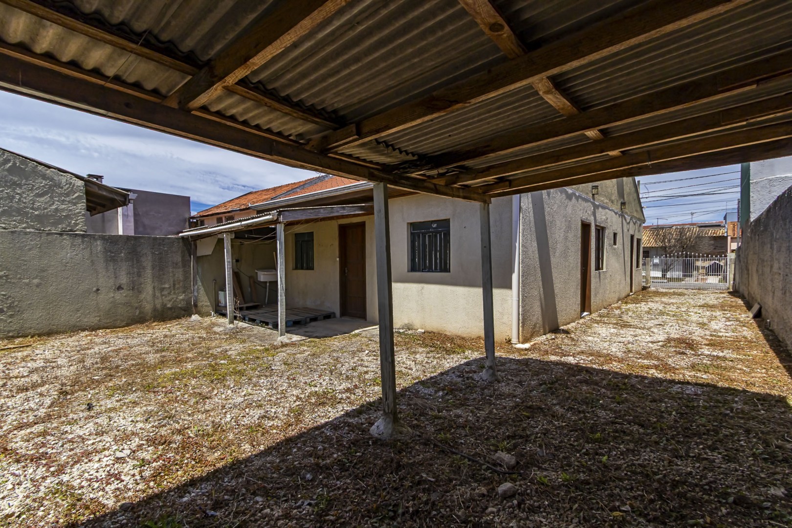 sheep - IMG_9323_1.jpg