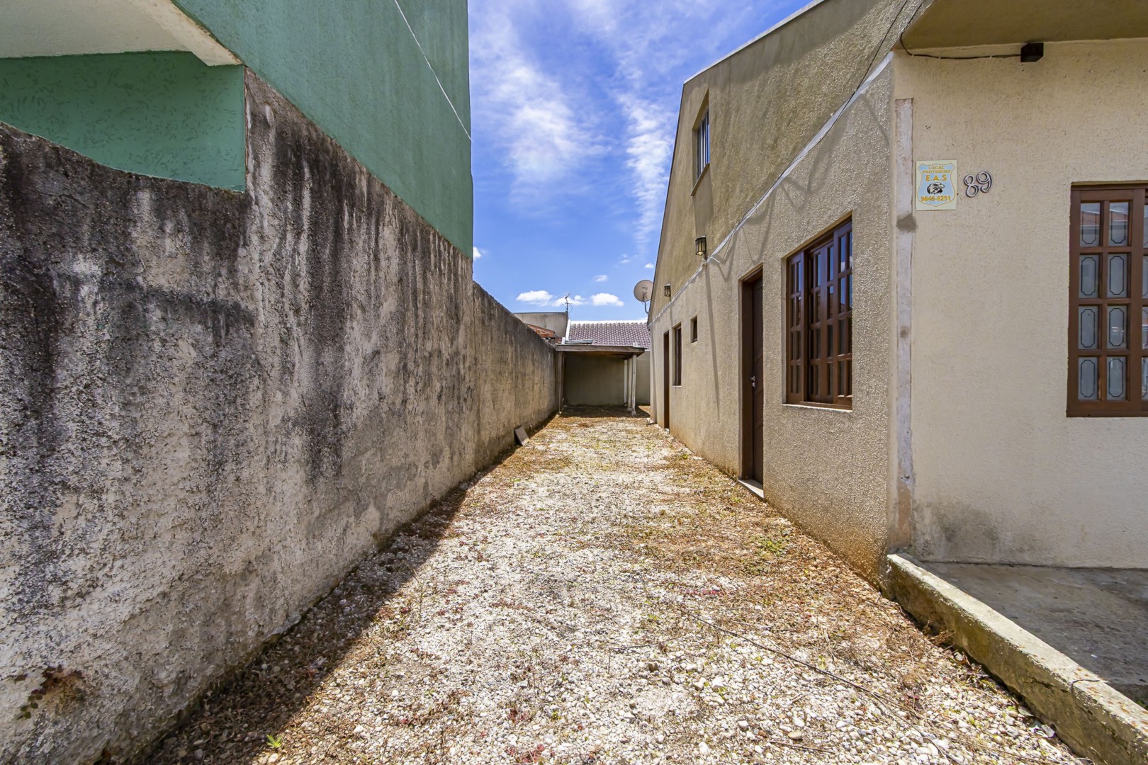 sheep - IMG_9327_1.jpg