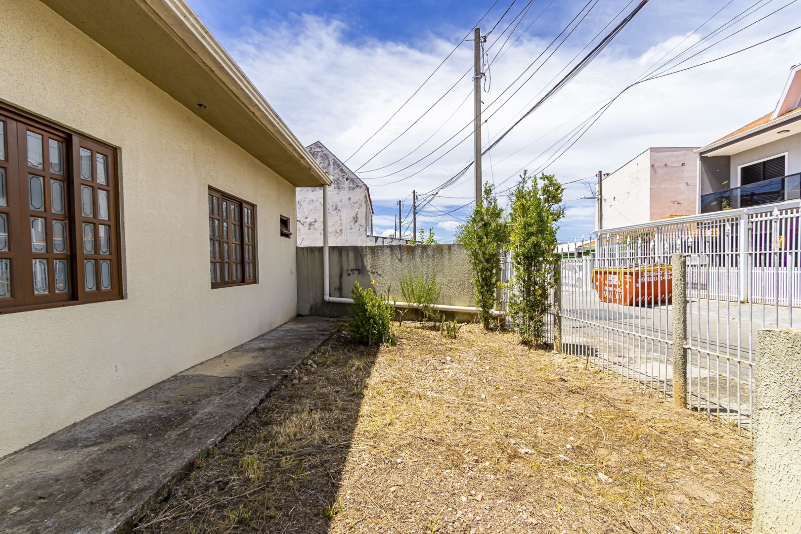 sheep - IMG_9328_1.jpg