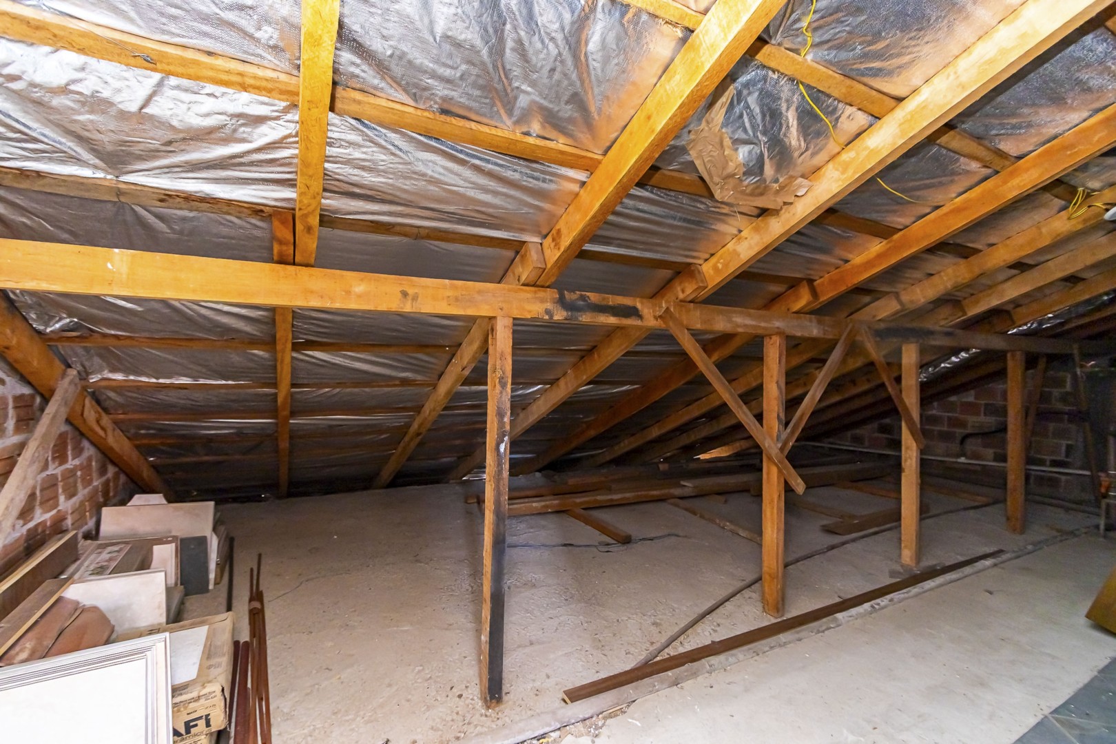 sheep - IMG_9288_1.jpg