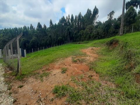 Terreno para venda no Roseira em Colombo com 1.977m² por R$ 260.000,00