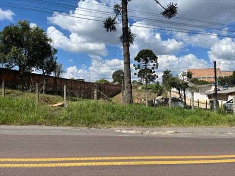 Área para venda no Campo Largo da Roseira em Sao Jose dos Pinhais com 3.189m² por R$ 1.600.000,00