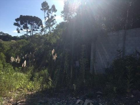 Área Industrial para venda no Barro Preto em Sao Jose dos Pinhais com 33.248m² por R$ 1.200.000,00