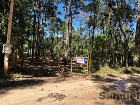 Chácara para venda no Campo Largo da Roseira em Sao Jose dos Pinhais com 5.000m² por R$ 750.000,00