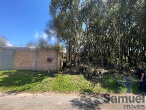 Terreno para venda no Del Rey em Sao Jose dos Pinhais com 560m² por R$ 198.000,00