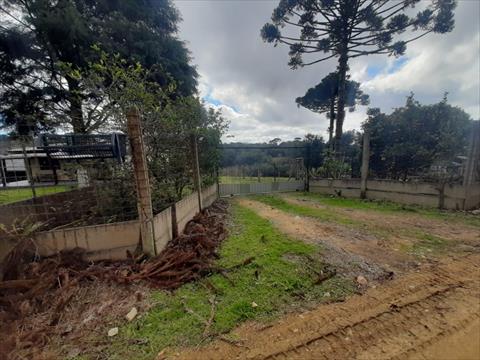 Chácara para venda no Campina do Taquaral em Sao Jose dos Pinhais com 8.000m² por R$ 550.000,00