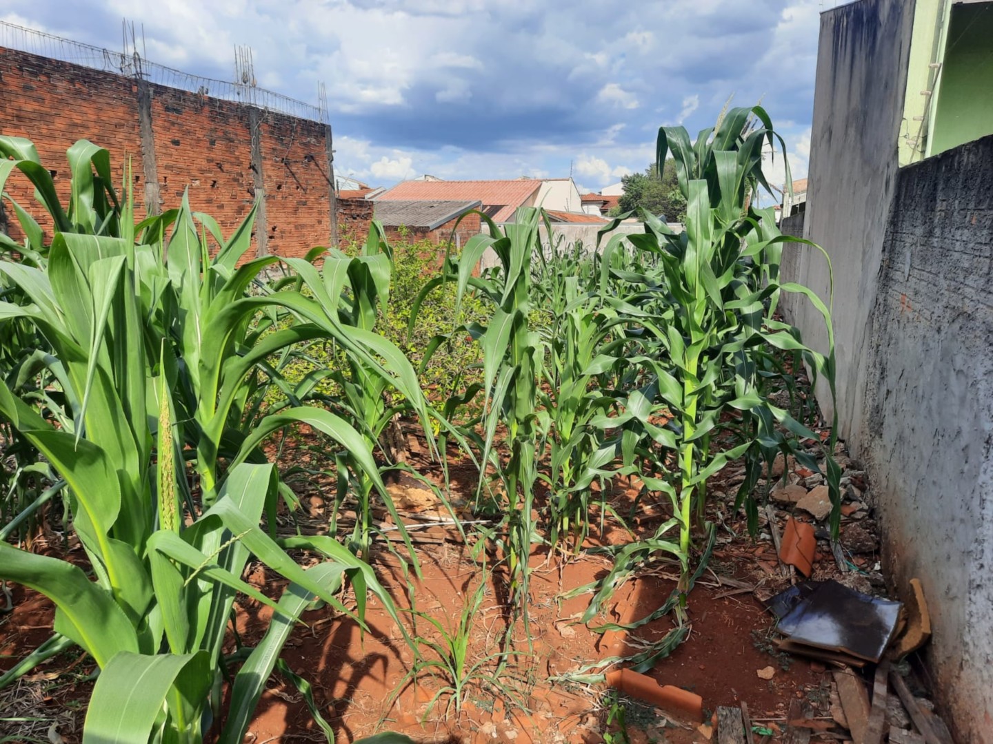 Terreno para venda no Jardim Tokio em Londrina com 302,5m² por R$ 270.000,00