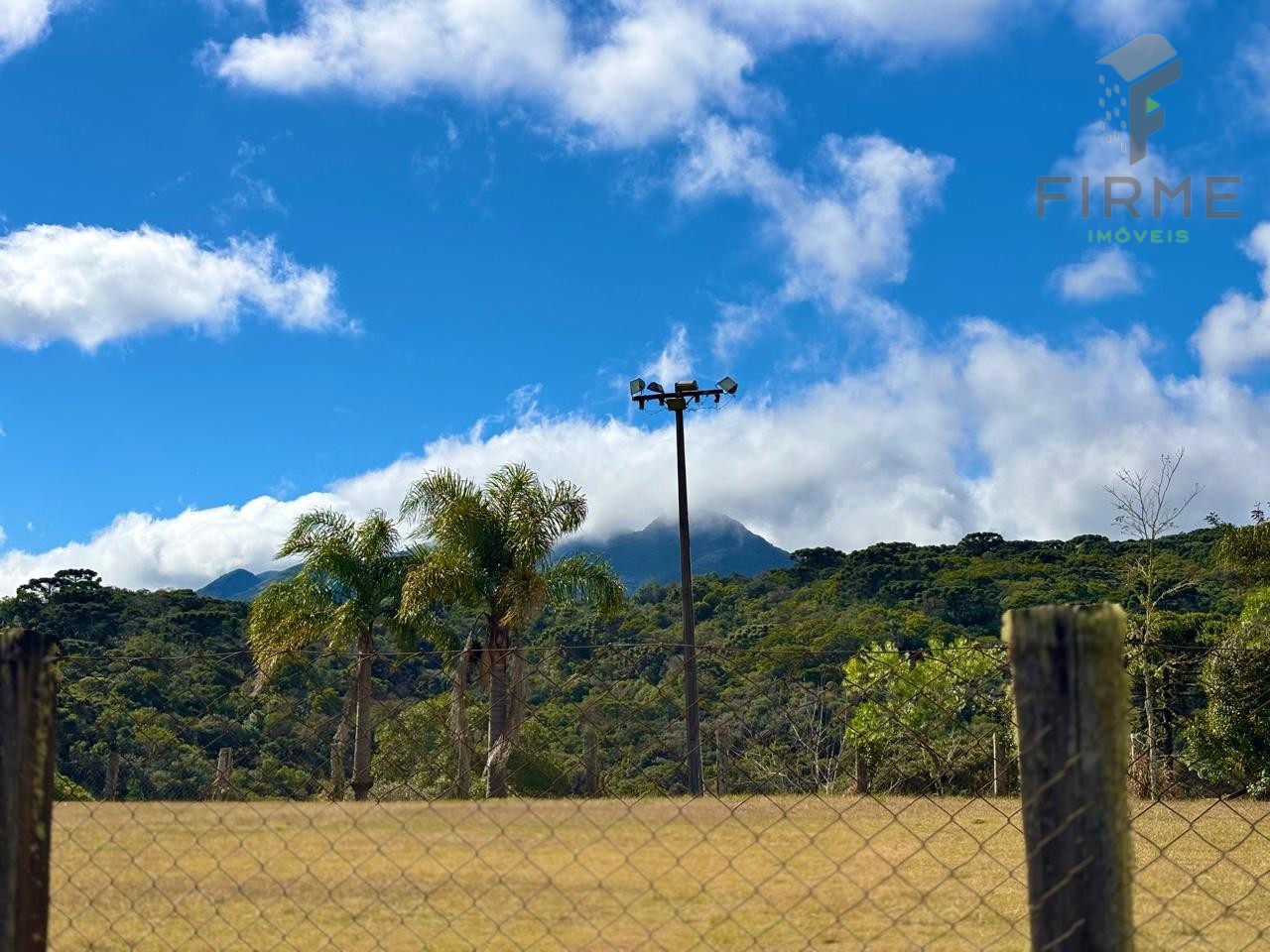 WhatsApp Image 2025-07-10 at 06.36.51.jpeg