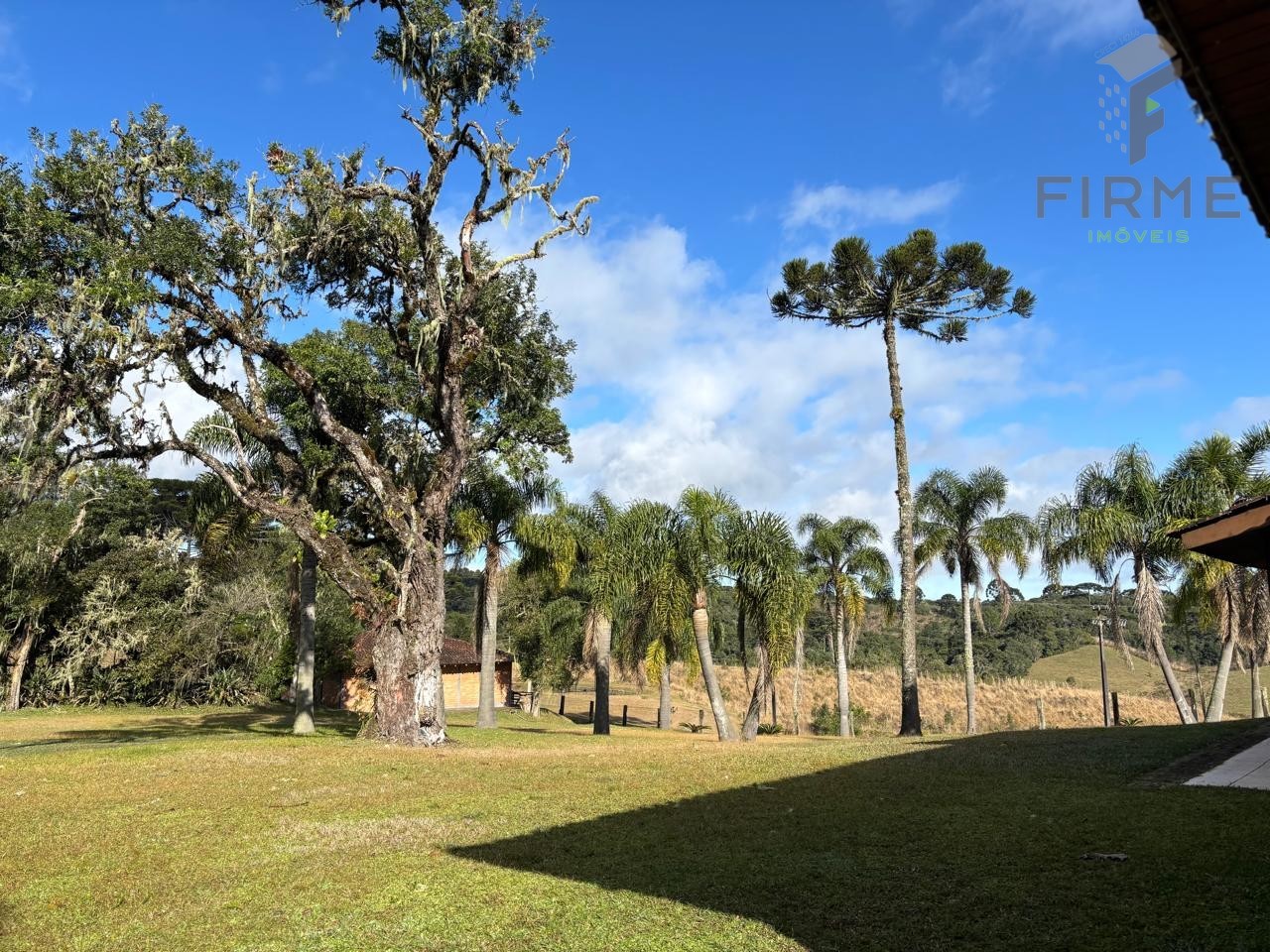 WhatsApp Image 2025-07-16 at 06.18.13 (1).jpeg