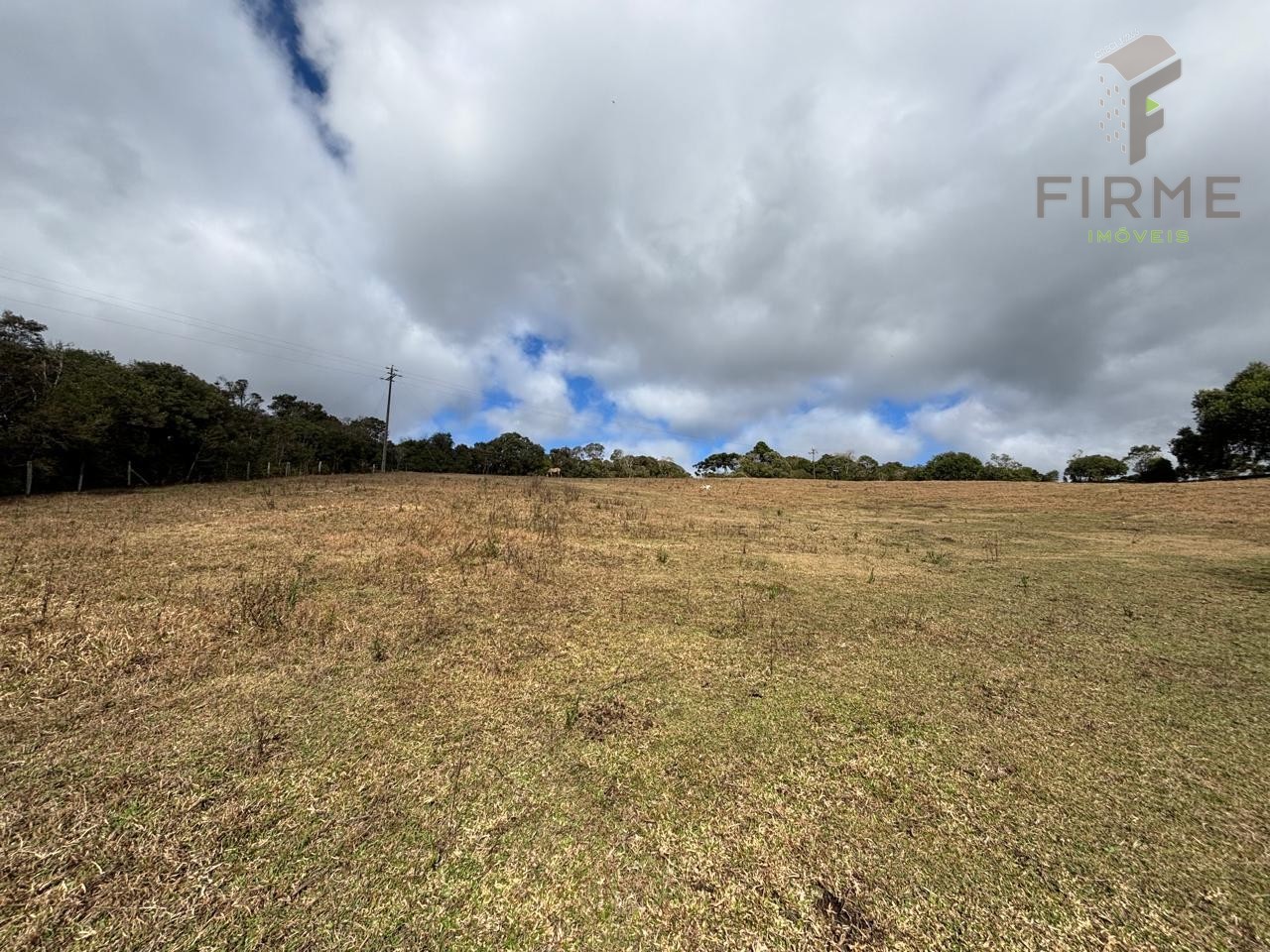 WhatsApp Image 2025-07-16 at 06.18.13 (2).jpeg