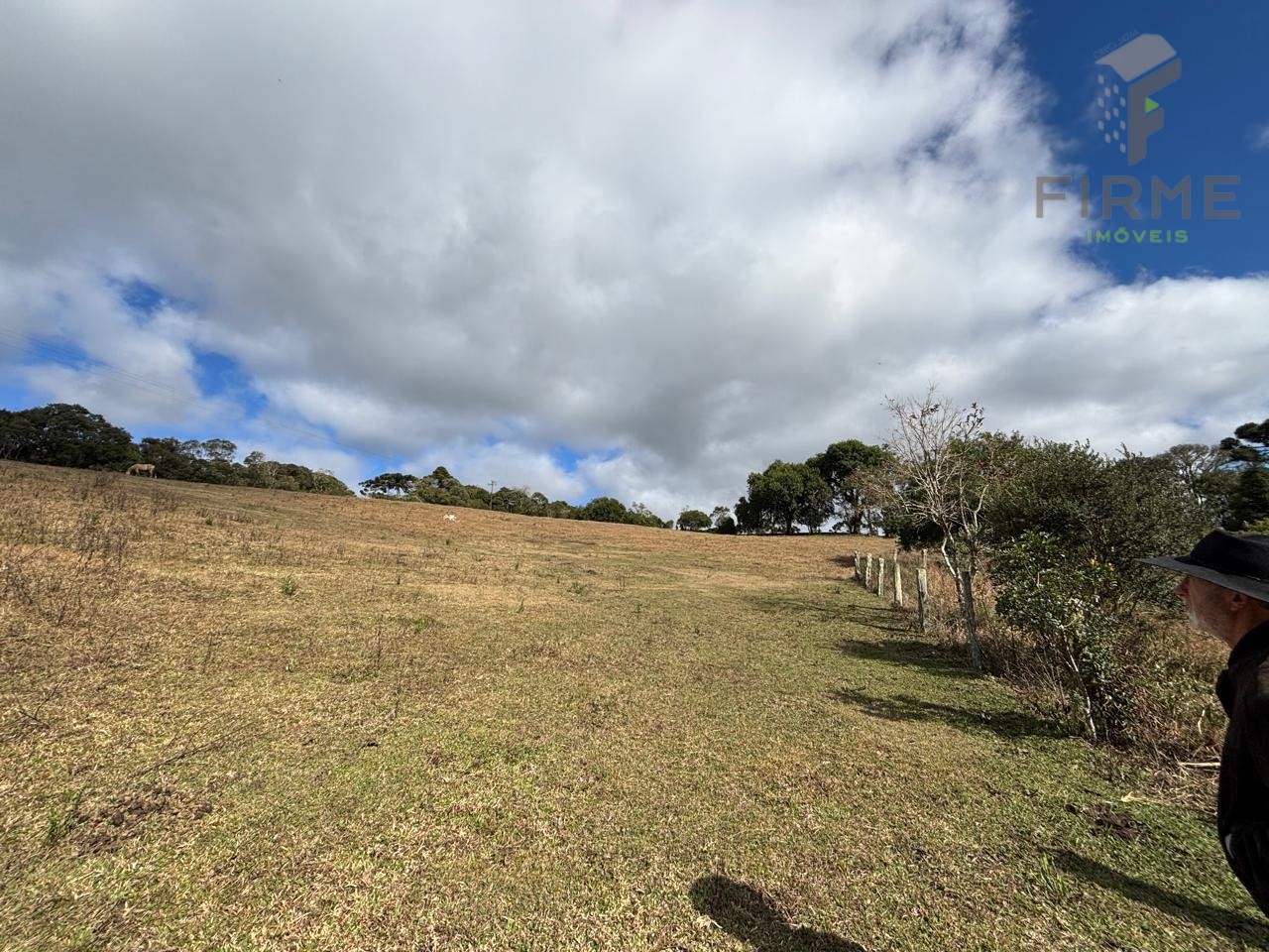 WhatsApp Image 2025-07-16 at 06.18.14.jpeg