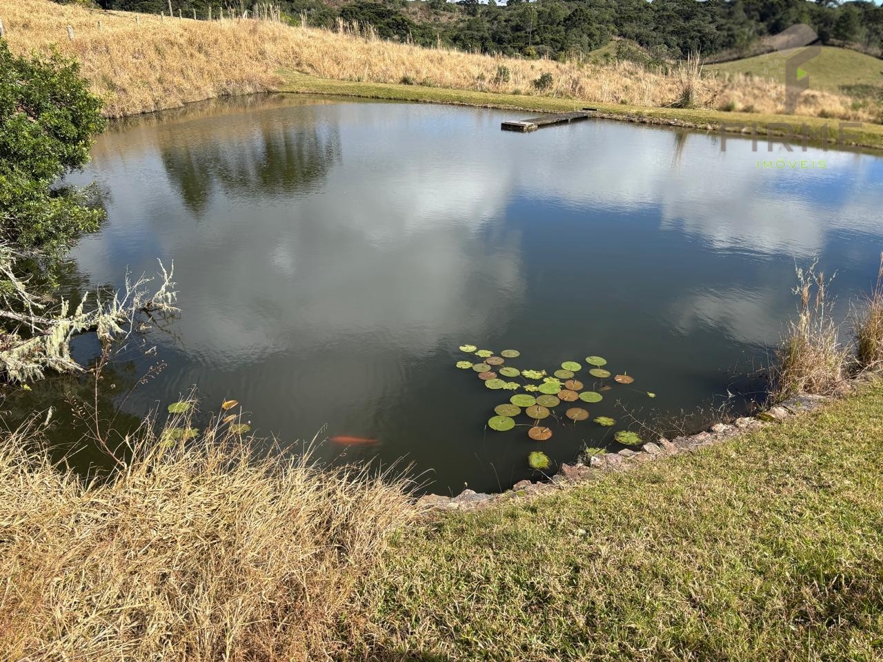 WhatsApp Image 2025-07-16 at 06.18.17 (4).jpeg